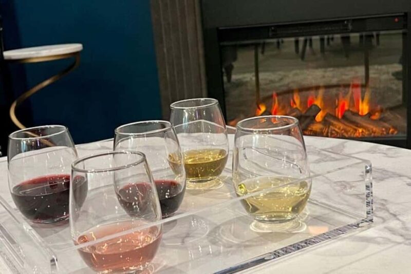 Anchorage: Wildlife, Glacier, and Wine Tasting Tour - Surprise Stops and Flexibility