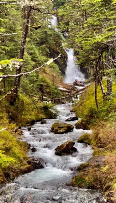 Anchorage: Wildlife, Glacier, and Wine Tasting Tour - The Highlight: Wine Tasting in Anchorage