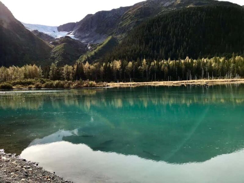 Anchorage: Wildlife, Glacier, and Wine Tasting Tour - Who Should Consider This Tour?