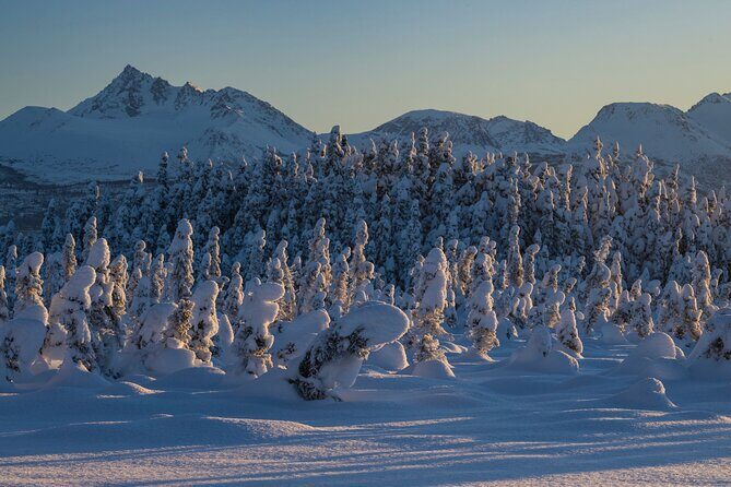 Anchorage Winter Wonderland Photo Tour - Who Should Consider This Tour?