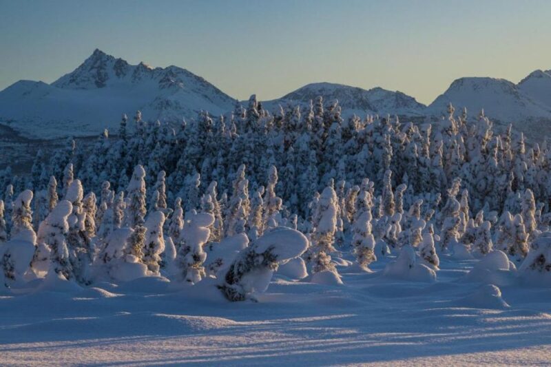 Anchorage: Winter Wonderland Photo Tour - Key Points