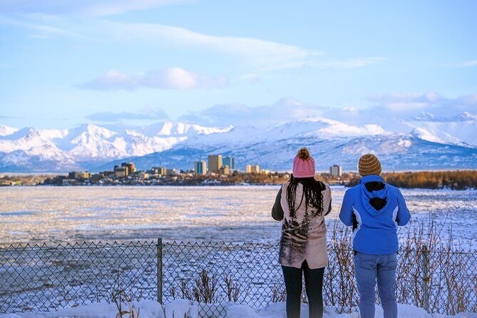Anchorage's Winter City Tour = Samples + Stops + WildLife - Overview of the Tour Experience