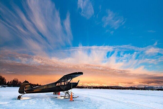 Anchorage's Winter City Tour = Samples + Stops + WildLife - Practical Details and Tips