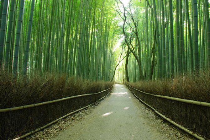 Ancient Capital Tour: Kyoto and Nara Highlights from Kyoto/Osaka - Final Thoughts