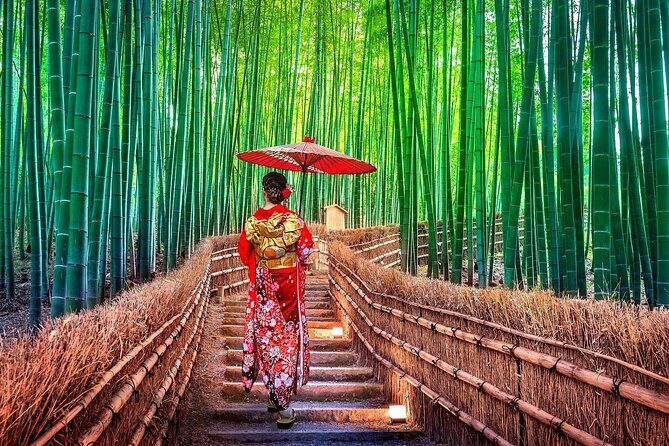 Ancient Capital Tour: Kyoto and Nara Highlights from Kyoto/Osaka - Review Summary