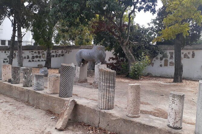 Ancient Carthage and Sidi Bou Said Half Day Tour with Lunch - Key Points