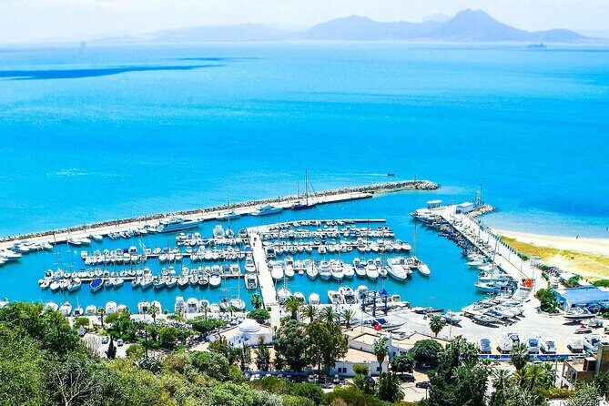 Ancient Carthage and Sidi Bou Said Half Day Tour with Lunch - Practicalities: What to Expect