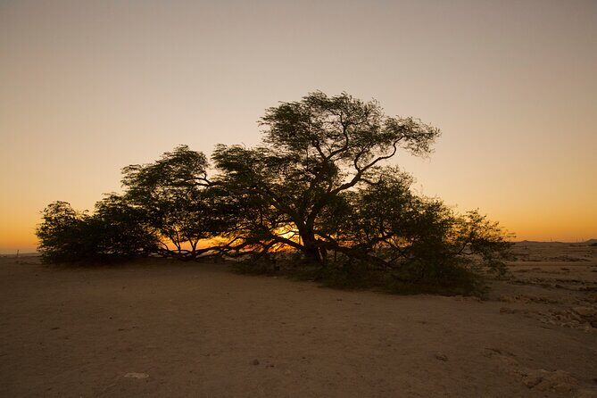 Ancient Garden of Eden - The Itinerary in Detail