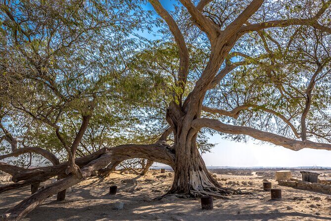 Ancient Garden of Eden - The Sum Up: Who Will Love This Tour?