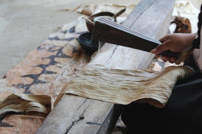 Ancient Tonga Cultur Tour 2hr Full Culture Tour - What the Reviews Say