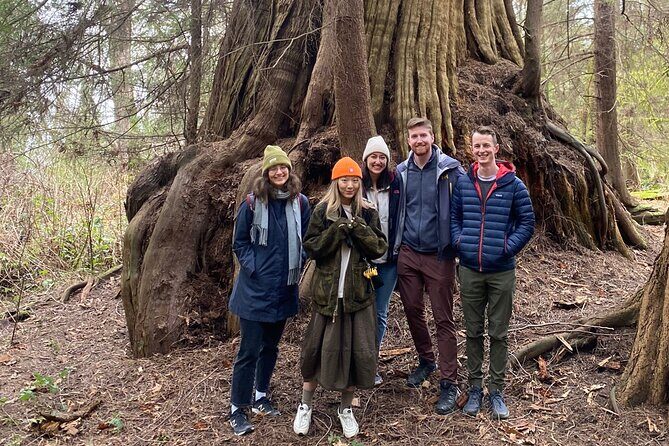Ancient Trees of Vancouver Walking Tour - Who Should Book This Tour?