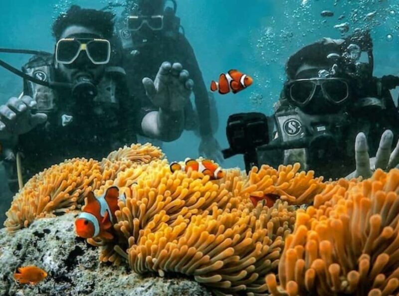 Andaman Adventure with Scuba Diving - 3 Nights 4 Days - Key Points