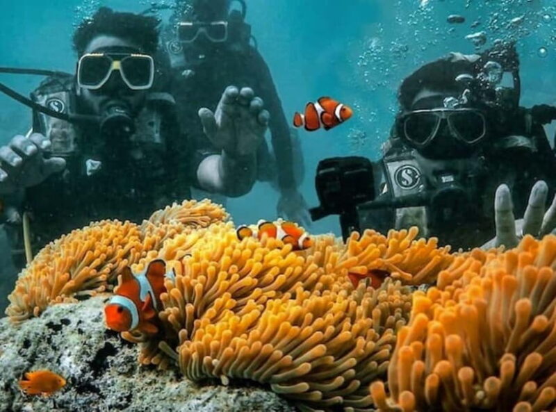 Andaman Islands: Scuba Diving Tour - Key Points