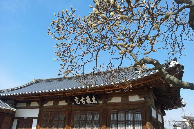 Andong Hahoe Village [UNESCO site] Premium Private Tour from Seoul - The Confucian School: Byeongsan Seowon