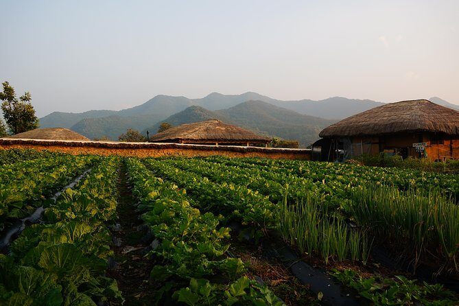 Andong Hahoe Village [UNESCO site] Premium Private Tour from Seoul - Considering the Price