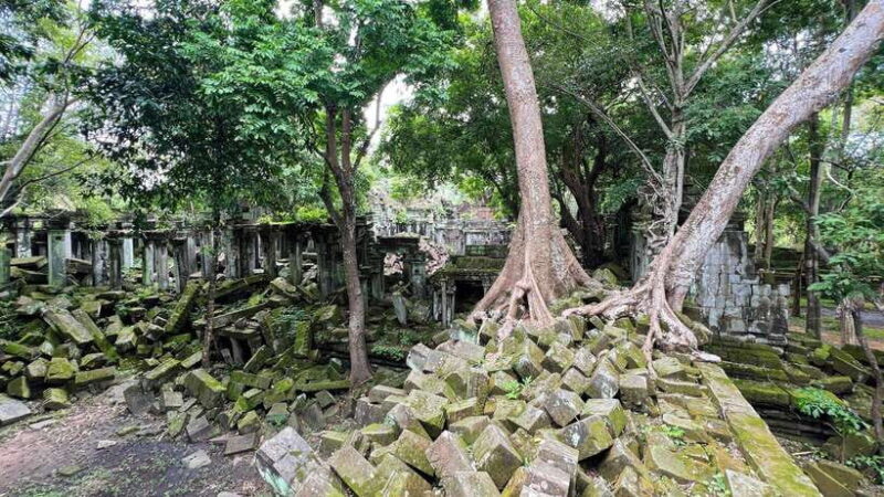 Angkor full day tour (Full intense day to discover the most) - Suitability and Recommendations