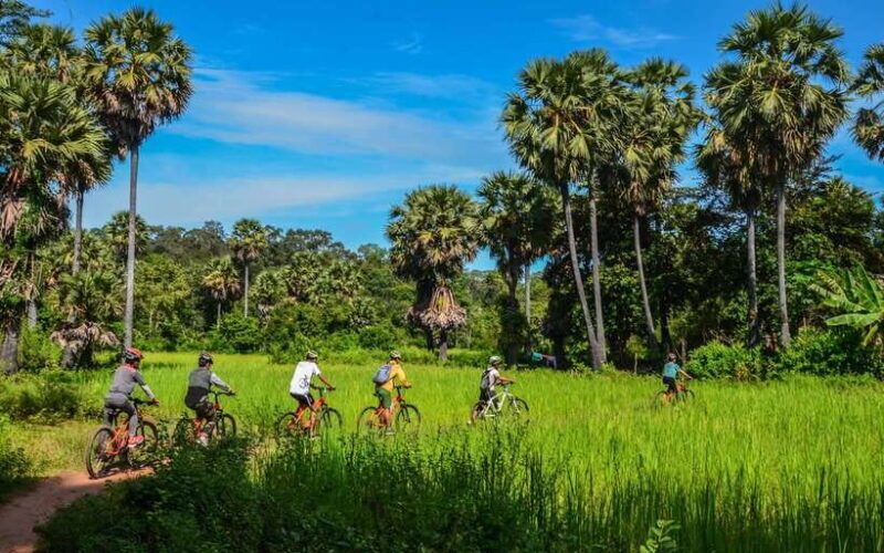 Angkor Jungle Biking Adventure Private Cycling Tour - Who Should Consider This Tour?