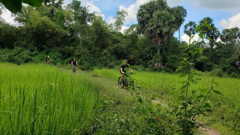 Angkor Jungle Biking Adventure Private Cycling Tour - FAQ