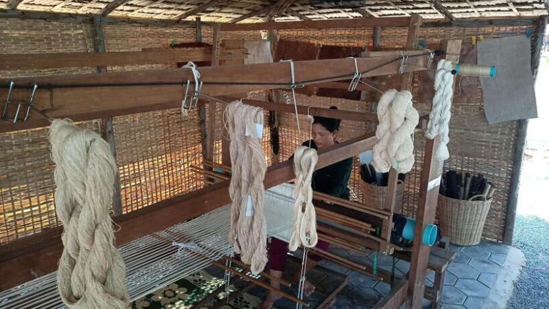 Angkor Silk Farm & Lotus Silk Farm: Siem Reap Discovery Tour - Real Traveler Feedback