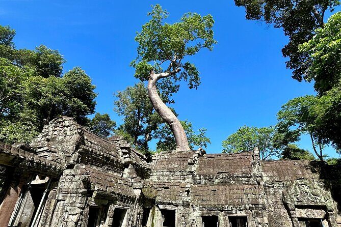 Angkor Wat 1-Day Tour by Private Car or Minivan - FAQ