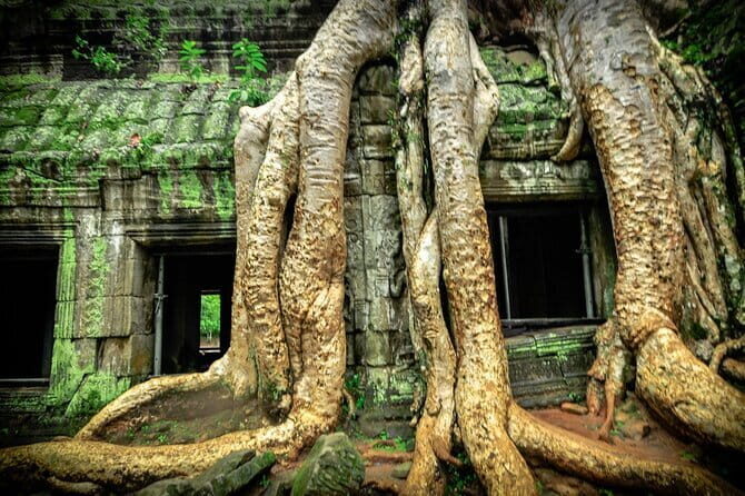 Angkor Wat 2 Days and a Half Temples & Tonle Sap-Small Group Tour - Key Points