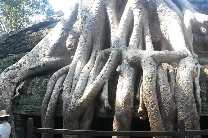 Angkor Wat 3-Day Tour from Bangkok - Final Thoughts