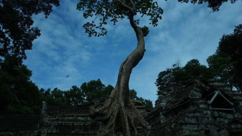 Angkor Wat: 3-Days Private Angkor Wat tour for Family - Final Thoughts