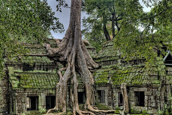 Angkor Wat, Angkor Thom & Elephant Terrace Half-Day Tours - Who Will Love This Tour?