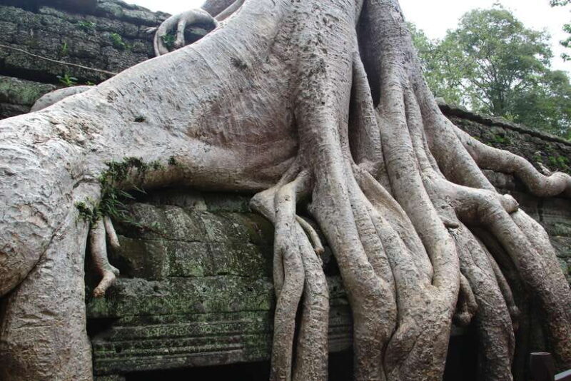 Angkor Wat Full-Day Private Tour with Sunset - Final Thoughts: Is This Tour Right for You?