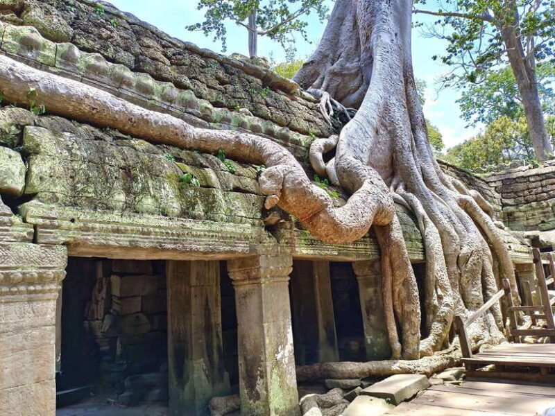 Angkor Wat: Highlights and Sunrise with Spanish Guide - Authenticity and Comfort: What Travelers Say