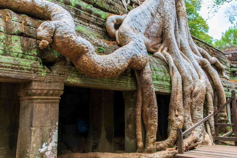 Angkor Wat one Day Private Tour for All Highlight Temples - The Sunset at Phnom Bakheng