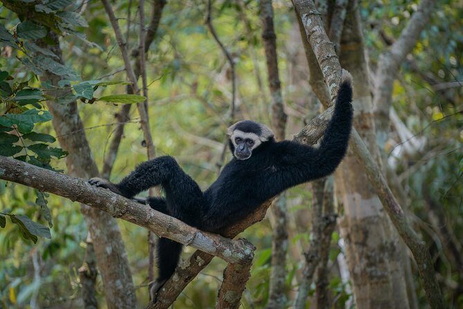 Angkor Wat Park Zip Line Adventure in Siem Reap - Final Thoughts