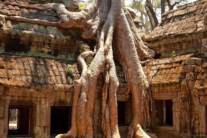 Angkor Wat Private Day Tour - FAQ: Practical Questions About the Tour