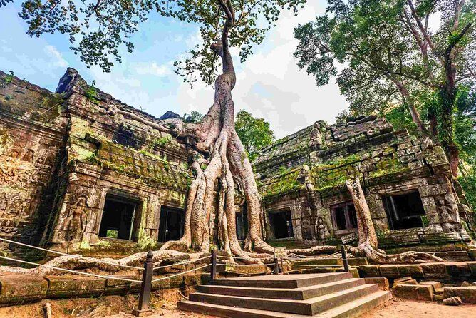 Angkor Wat Private Day Tour from Siem Reap - What Makes This Tour Stand Out?