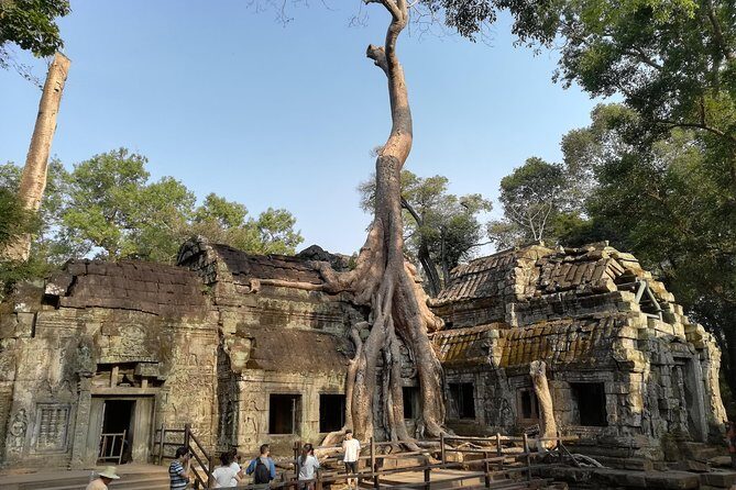 Angkor Wat Small Circuit Tour - The Full Experience: What to Expect on the Tour