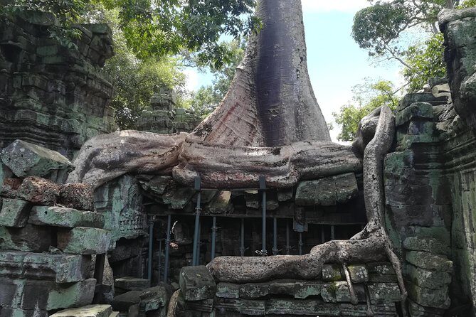 Angkor Wat Small Circuit Tour - Who Is This Tour Best For?