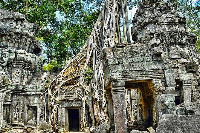 Angkor Wat Small-Group Exploration with Expert Guide - Is This Tour Right for You?