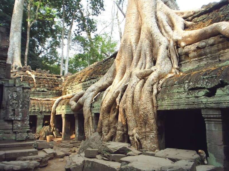 Angkor Wat: Small-Group Tour with Balloon Ride and Lunch - The Enchanting Ta Prohm