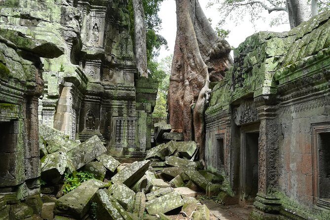 Angkor Wat Sunset TUK TUK Tour - Who Will Love This Experience?