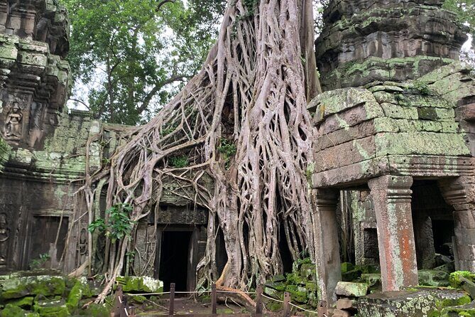 Angkor Wat Sunset TUK TUK Tour - The Sum Up: The Best of Angkor in a Day