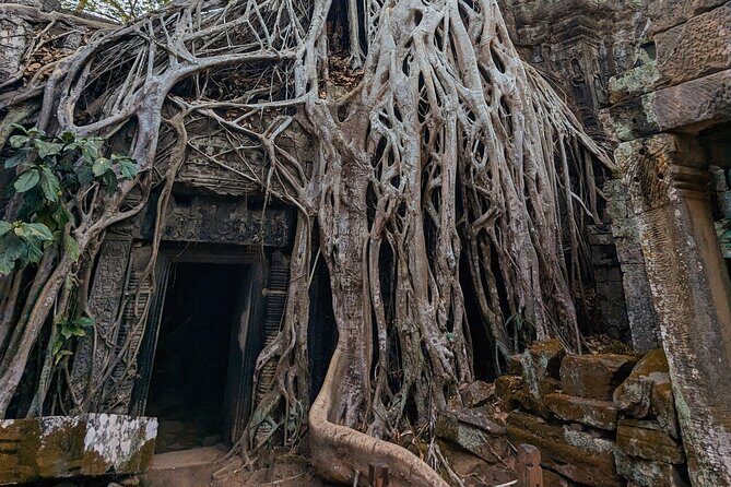 Angkor Wat Temple Tour with own Tuk Tuk Driver - FAQ
