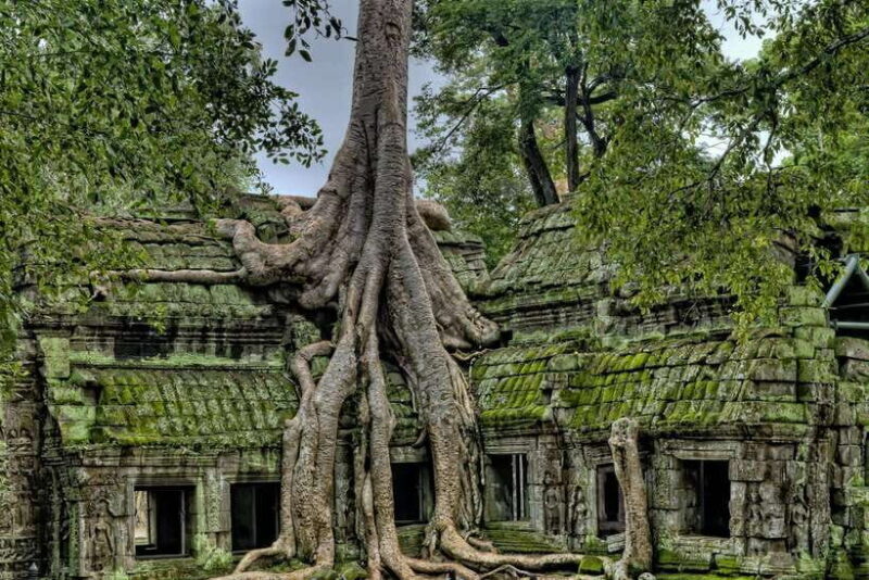 Angkor Zipline and Discover Highlight Angkor wat with Sunset - A Full Dive into the Experience