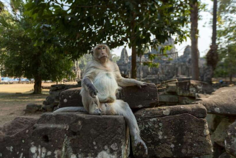 Angkor Zipline and Discover Highlight Angkor wat with Sunset - The Sum Up