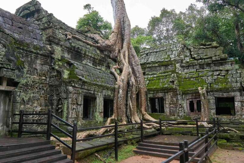Angkor Zipline and Temple Tour with Sunset - The Value of the Tour: Price and Experience