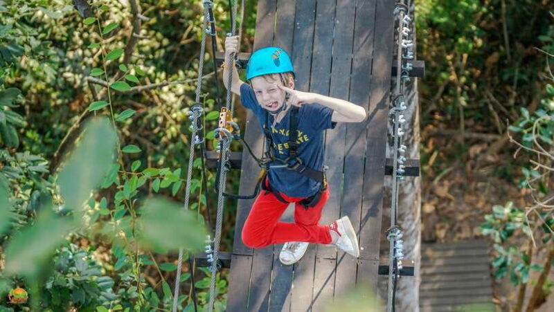 Angkor Zipline Eco-Adventure Canopy Tour - Key Points