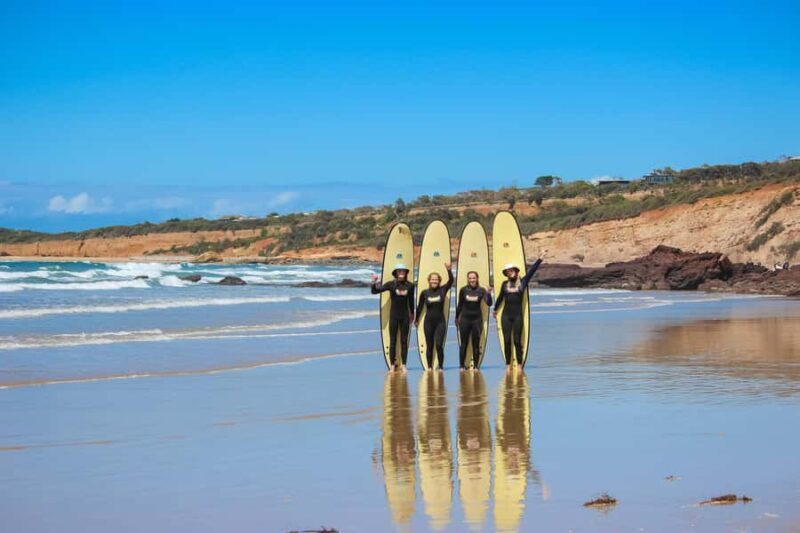 Anglesea: 2 Hour Surf Experience on the Great Ocean Road - Key Points