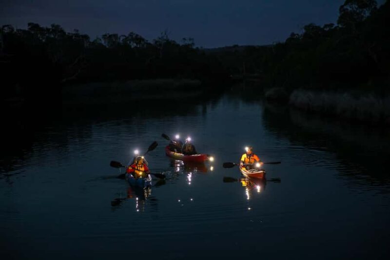 Anglesea: Night Kayaking Tour Under the Stars - An Honest Look at the Experience