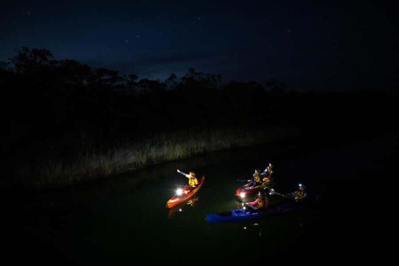 Anglesea: Night Kayaking Tour Under the Stars - The Sum Up