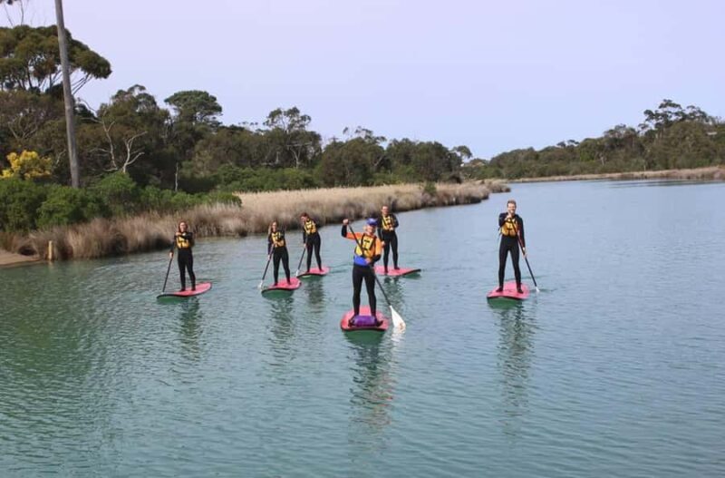 Anglesea: Stand-Up Paddleboard Lesson on the River - What to Expect from Your SUP Lesson