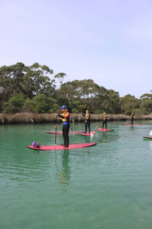 Anglesea: Stand-Up Paddleboard Lesson on the River - Meeting Point and Practical Details